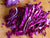 Organic Shredded Red Cabbage
