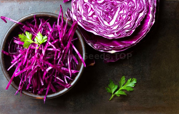 Organic Red Cabage Shredded