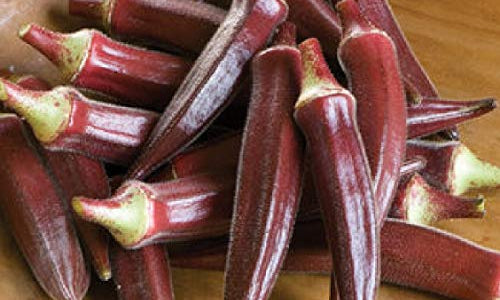 Organic Red Okra / Bhindi/Lady Finger