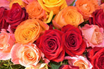 Organic Rose Flower ( Mixed Colour)