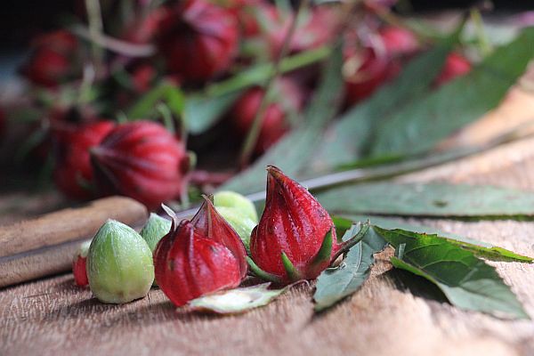 Organic Gongura / Roselle Fruit