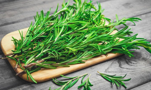 Organic Rosemary