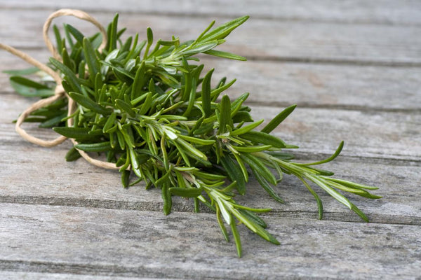 Organic Rosemary