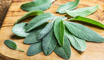 Organic Sage Leaves