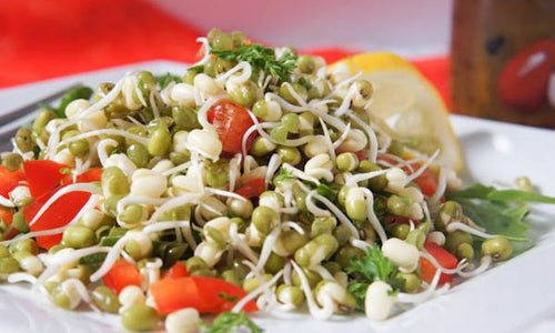 Organic Moong Sprouts & Fresh Veggies  Salad Pack