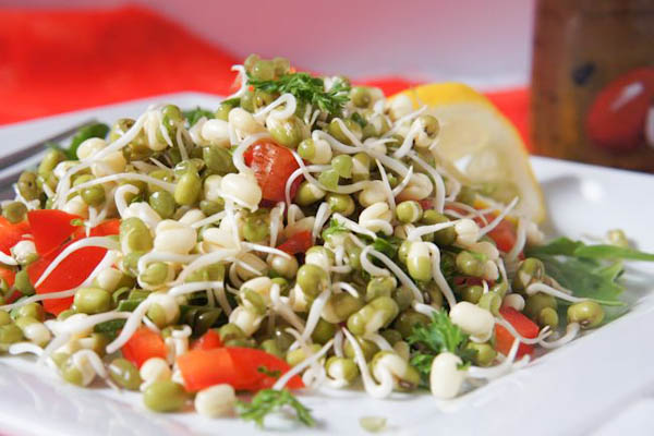 Organic Moong Sprouts & Fresh Veggies  Salad Pack