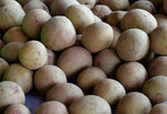 Organic Small Sapota / Chikoo