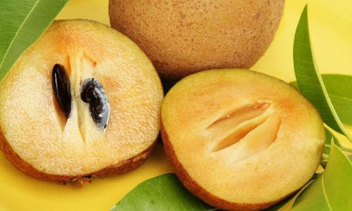 Organic Sapota / Chikoo-OFFER