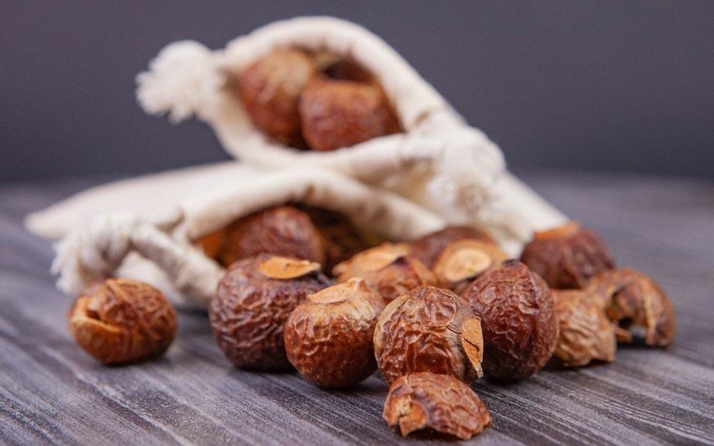 Soapnut
