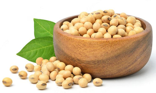 Organic Soybean Whole