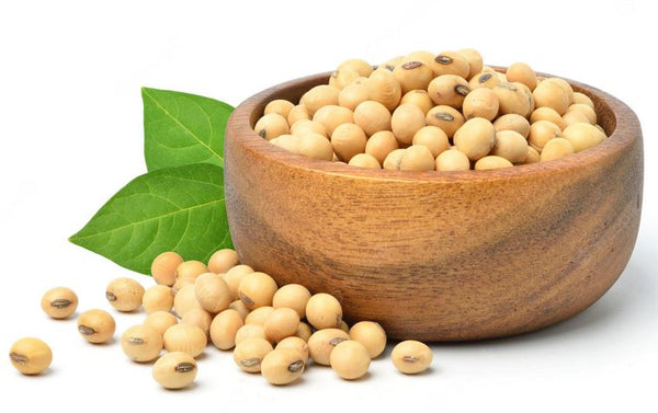 Organic Soybean Whole