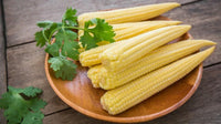 Organic Baby Sweet Corn Steamed