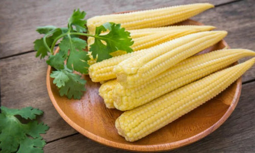 Organic Baby Sweet Corn Steamed