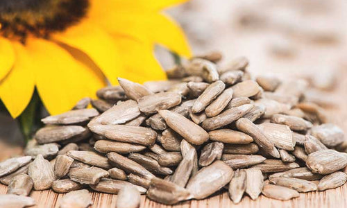 Organic Sunflower Seeds