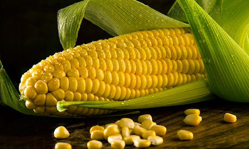 Organic Sweet Corn Kernels