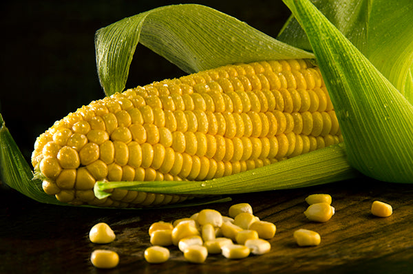 Organic Sweet Corn Kernels