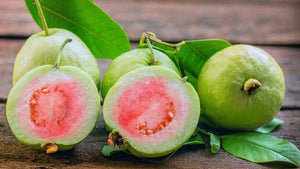 Organic Guava- Taiwan