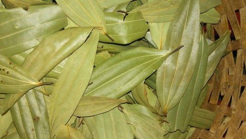 Organic Bay Leaf