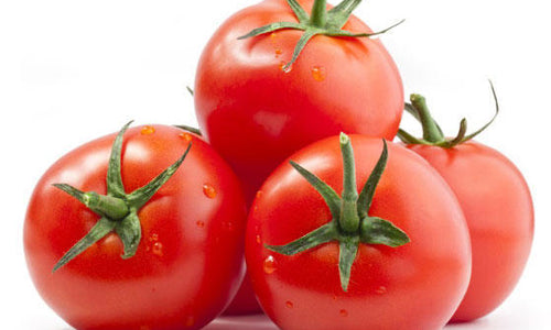 Organic Tomato Hybrid-Offer