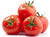 Organic Tomato Hybrid-Offer