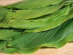 Organic Turmeric Leaves