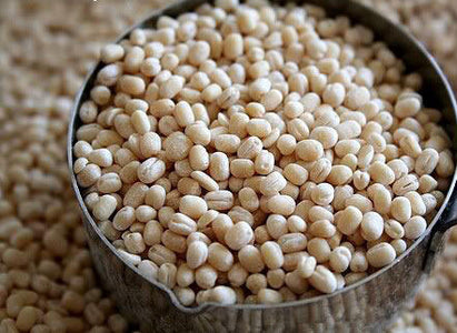 Organic Urad Dal White Whole Premium (Gluten-Free)