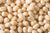 Organic Urad Dal White Whole Premium (Gluten-Free)