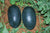 Organic Watermelon Kiran-Offer