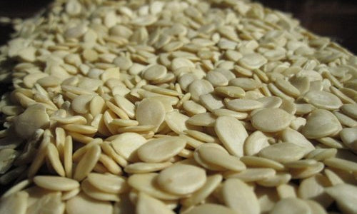 Organic Magaj Watermelon Seeds