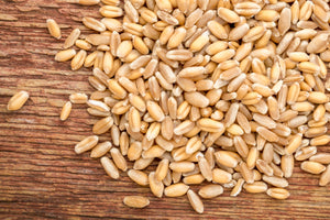 Organic Premium Wheat