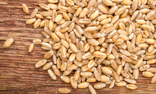 Organic Premium Wheat