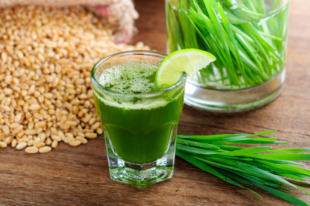 Wheatgrass Capsules