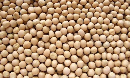 Organic White Dried Peas (Matar)