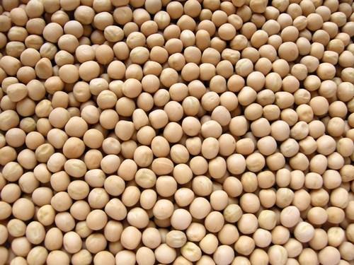 Organic White Dried Peas (Matar)