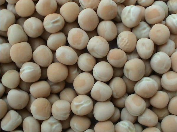 Organic White Dried Peas (Matar)