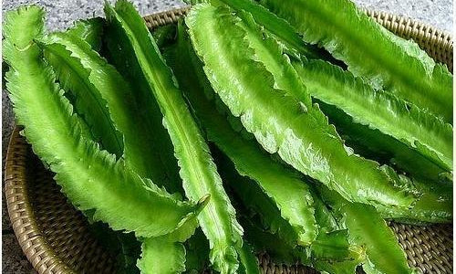 Organic Winged Beans