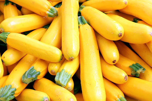 Organic Zucchini Yellow